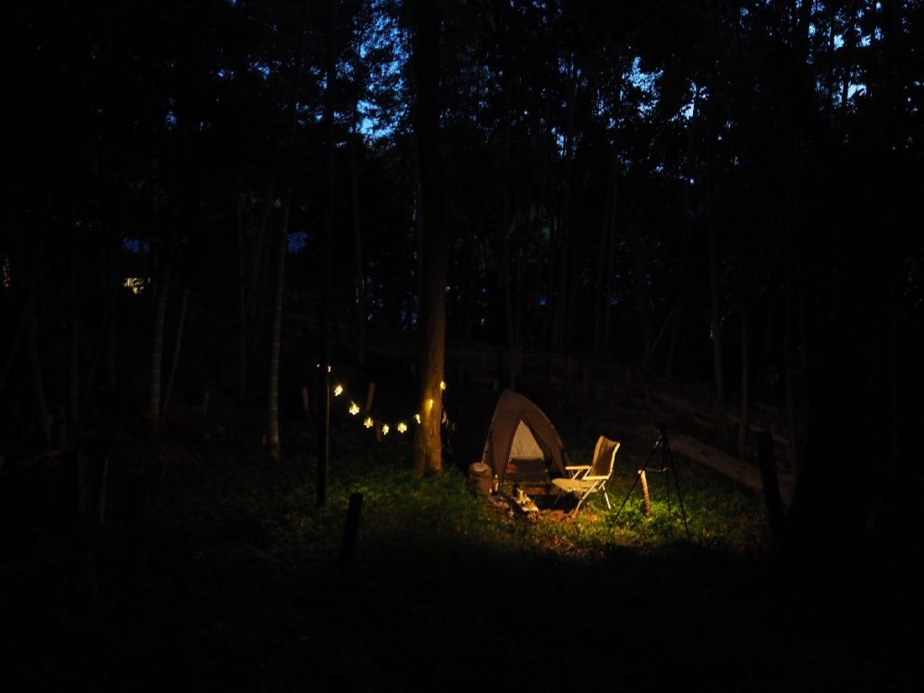 森の夜