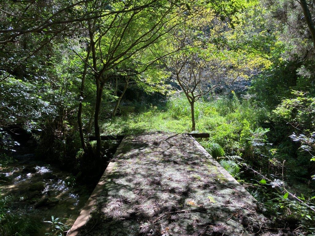 販売開始&三瀬土地